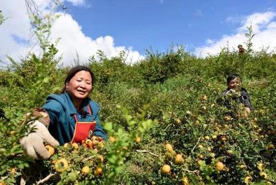 黔南州:"四招"扎实推进民族地区立法工作